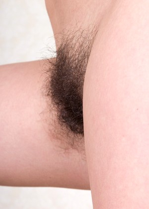 Wearehairy Model